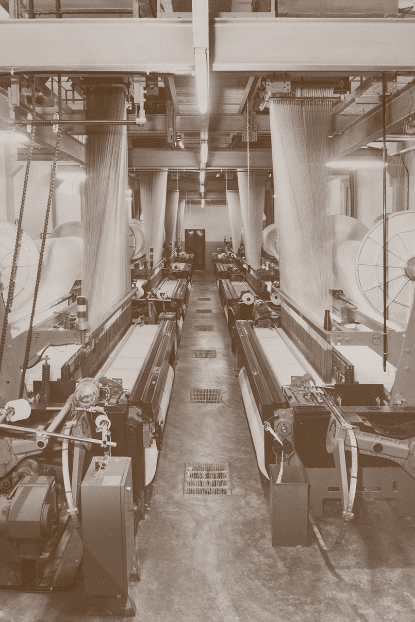 Lavorazione italiana di spugne Jaquard